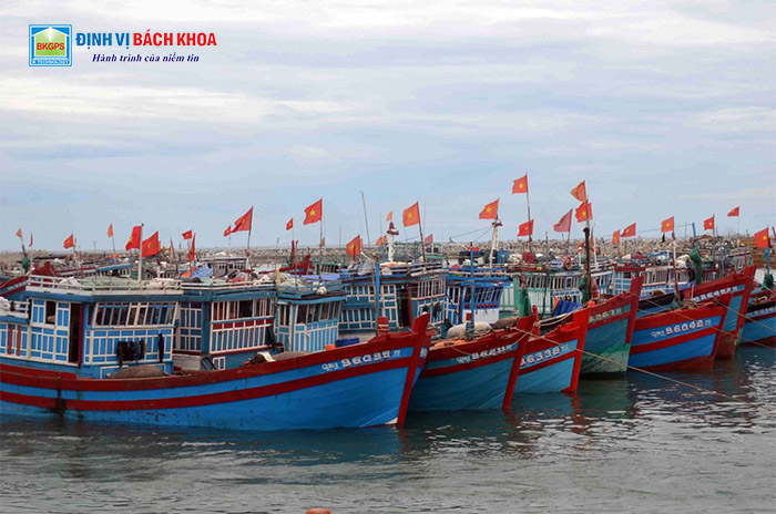 Đăng ký, đăng kiểm tàu cá Tàu cá thuộc diện đăng ký, đăng kiểm