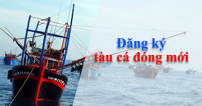 Đăng ký tàu cá đóng mới Đăng ký tàu cá đóng mới